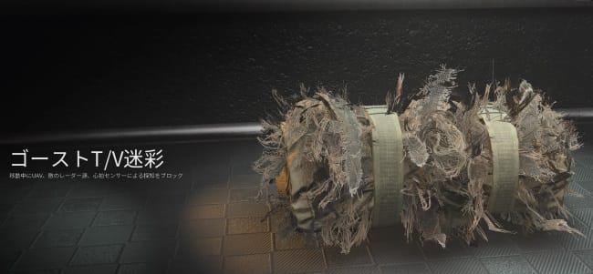 COD MW3のゴーストT/V迷彩